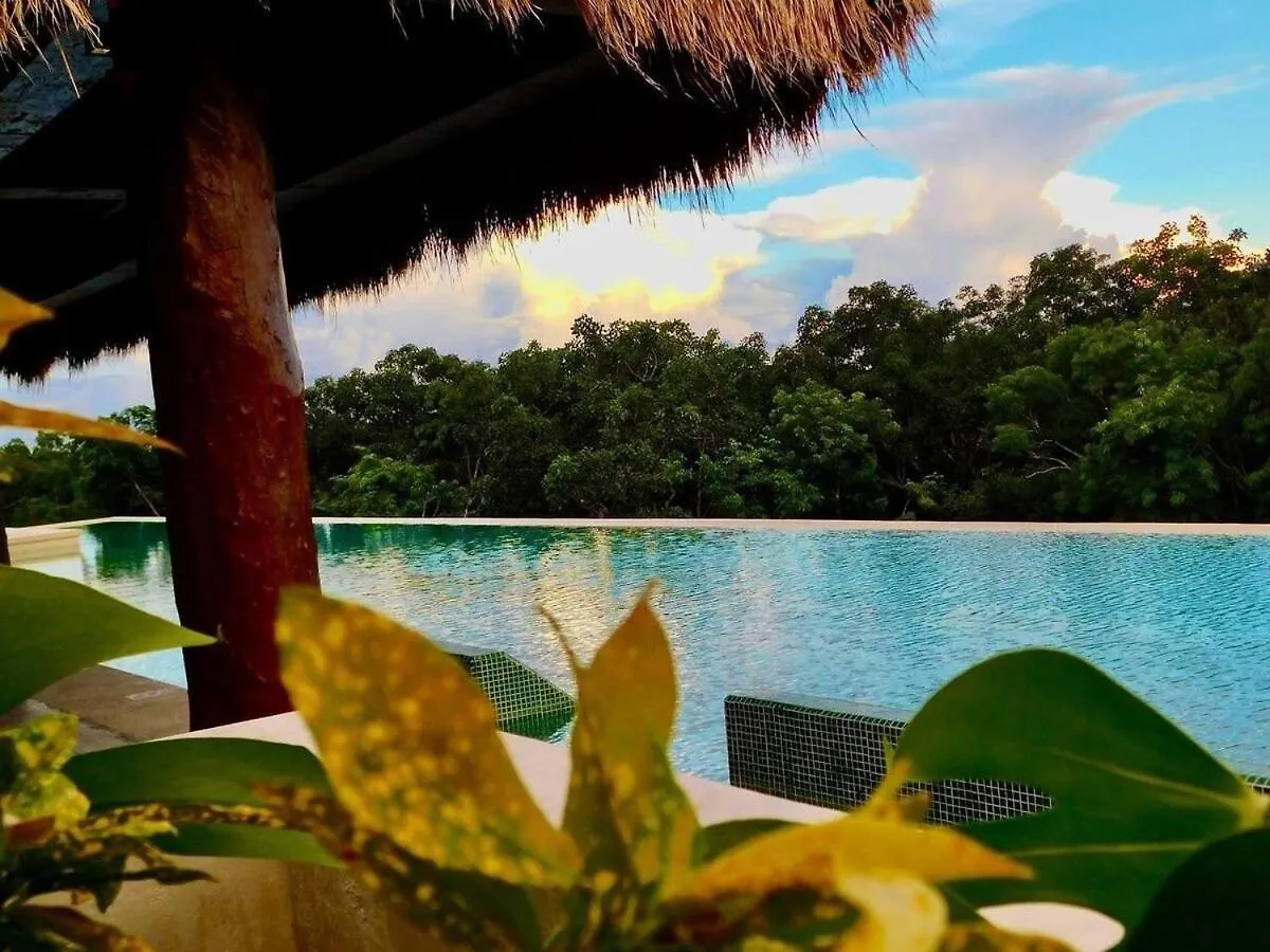 툴룸 1 Rec. | Vista A La Jungla + Piscina Infinita + Amenidades Lx 아파트 0*,
